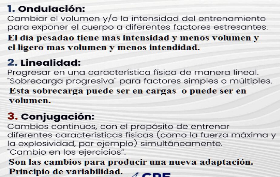 3 tipos de Periorización para powerlifting - Progresión ondulada, lineal y conjugada 1 Elementos de la periodización