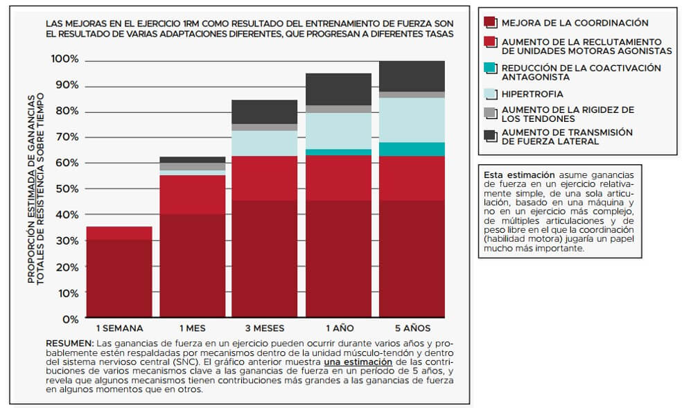 Estimación de mejoras por ejercicio