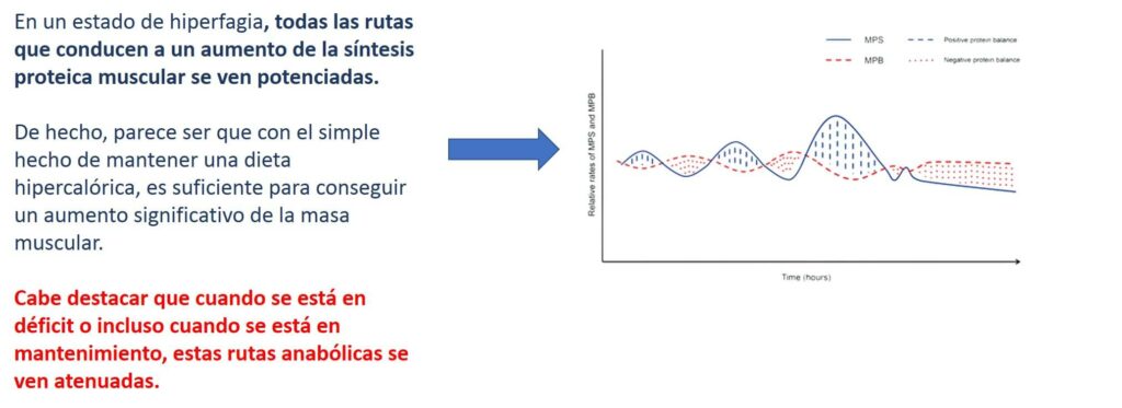 Hiperfagia grafica