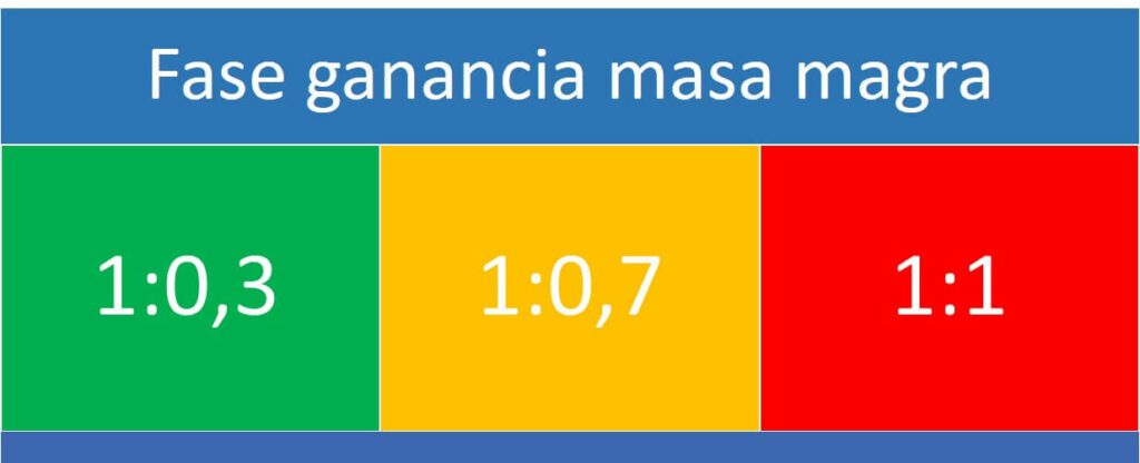 ¿Cómo afectan las horas de sueño a la ganancia de masa muscular? 9 Fase ganancia masa magra