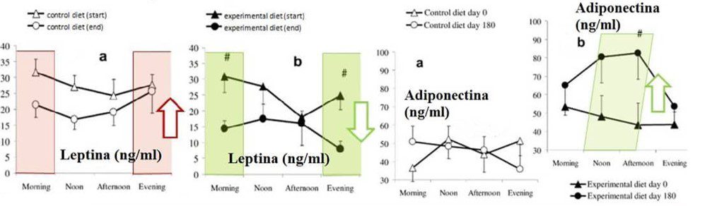 Niveles de leptina y adiponectina
