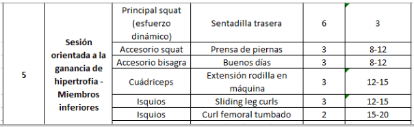 Análisis del programa de entrenamiento PHAT + Rutina PHAT versión mejorada 19 imagen 10