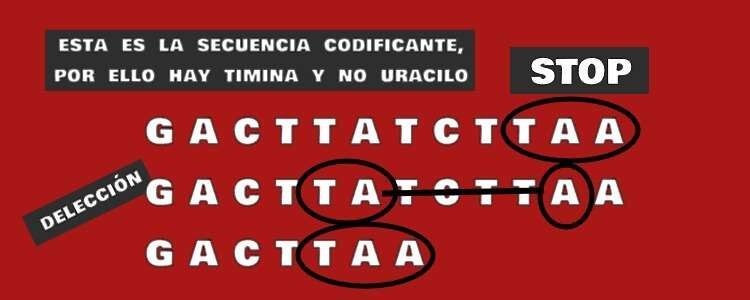 Mutación sinónima sinsentido