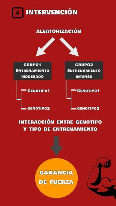 Entrenamiento engenético