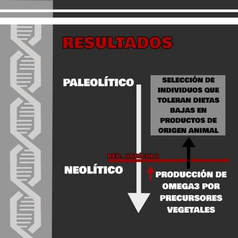 Impacto Revolución Agrícola en evolución humana