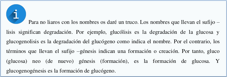 Hidratos de carbono 10