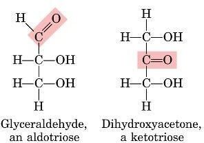 Diferencia entre aldosa y cetosa 