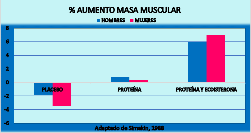 Aumento masa muscular