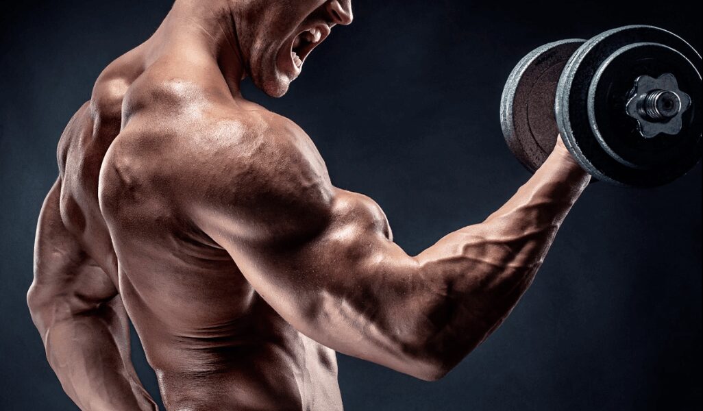 Daño muscular