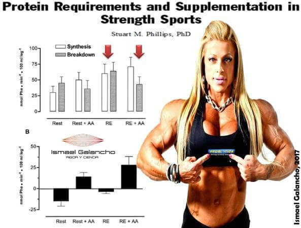Proteína en el peri-entrenamiento (antes-durante-después) 1 Peri-entreno de la proteína
