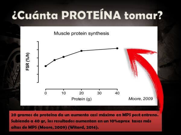 Proteína en el peri-entrenamiento (antes-durante-después) 9 Cuanta proteína tomar