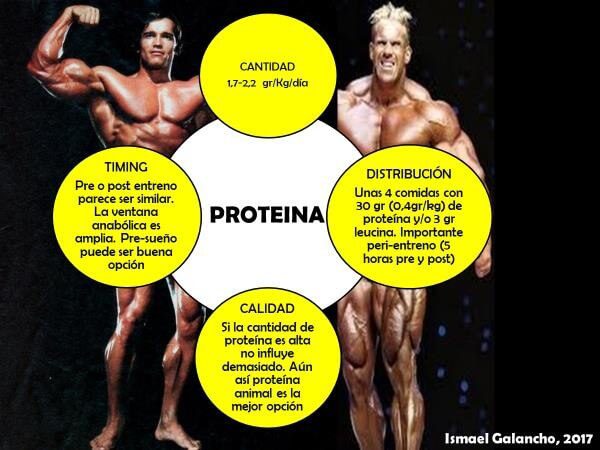 Proteína en el peri-entrenamiento (antes-durante-después) 15 Ingesta total de proteína