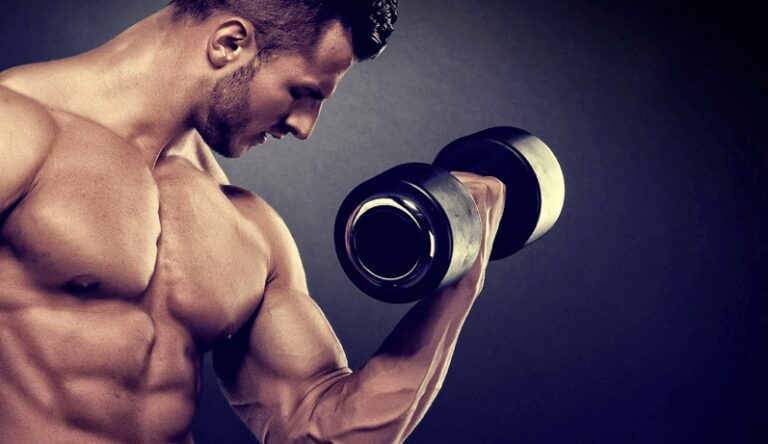 Ganar musculo