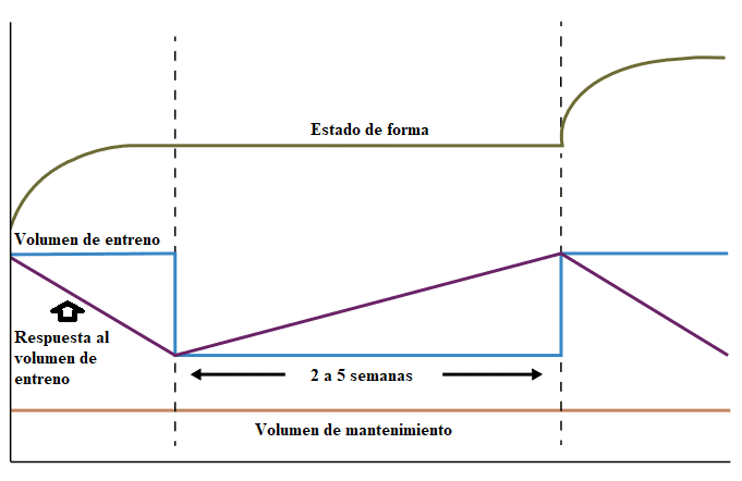 Descarga de Entrenamiento: ¿qué es, cómo y cuándo hacerla? 3 Descarga de Entrenamiento 2