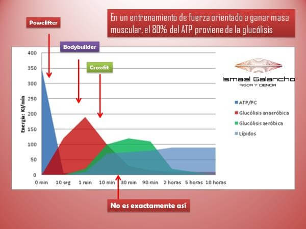 Entrenamiento de fuerza