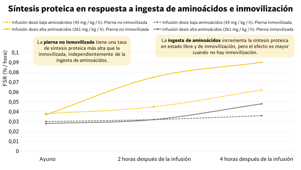 Umbral anabólico en condiciones de inmovilización