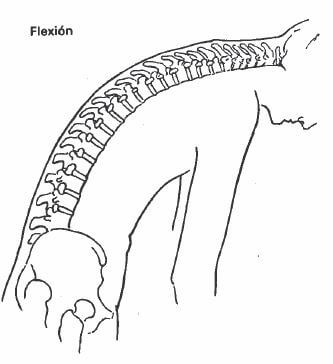 Flexión de columna