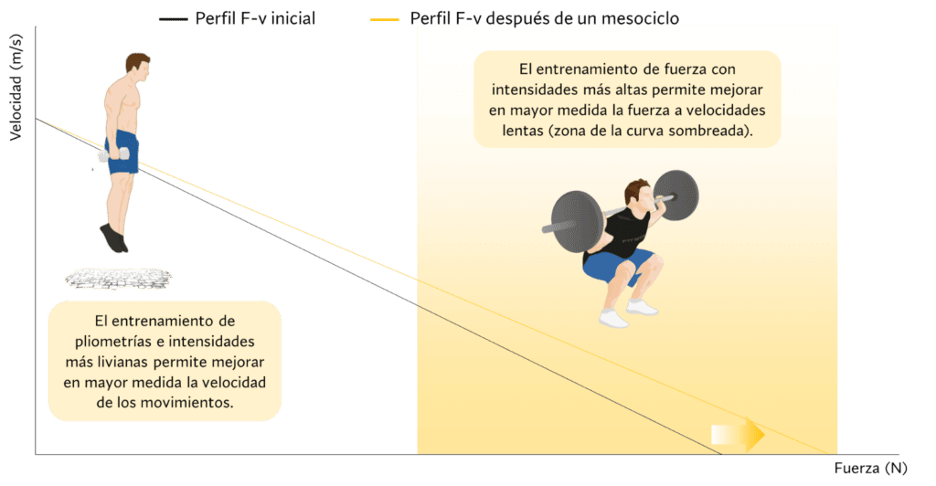 Entrenamiento de fuerza