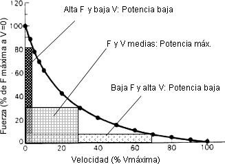Curva Fuerza-Velocidad 