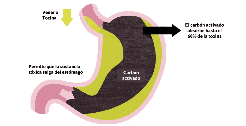 Mecanismo de desintoxicación 