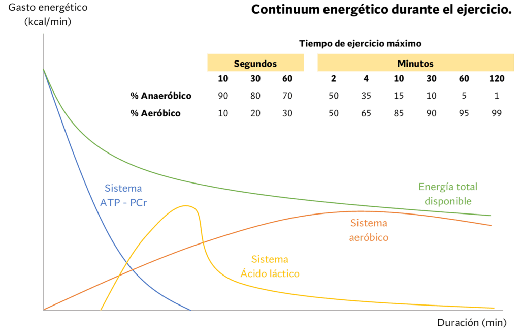 Teoría del Continuum Energético