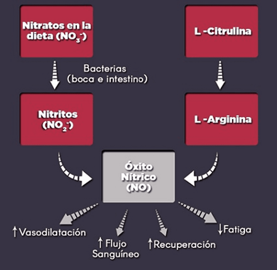 Imagen15