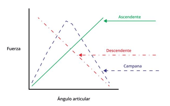 Producción fuerza y ángulo articular 