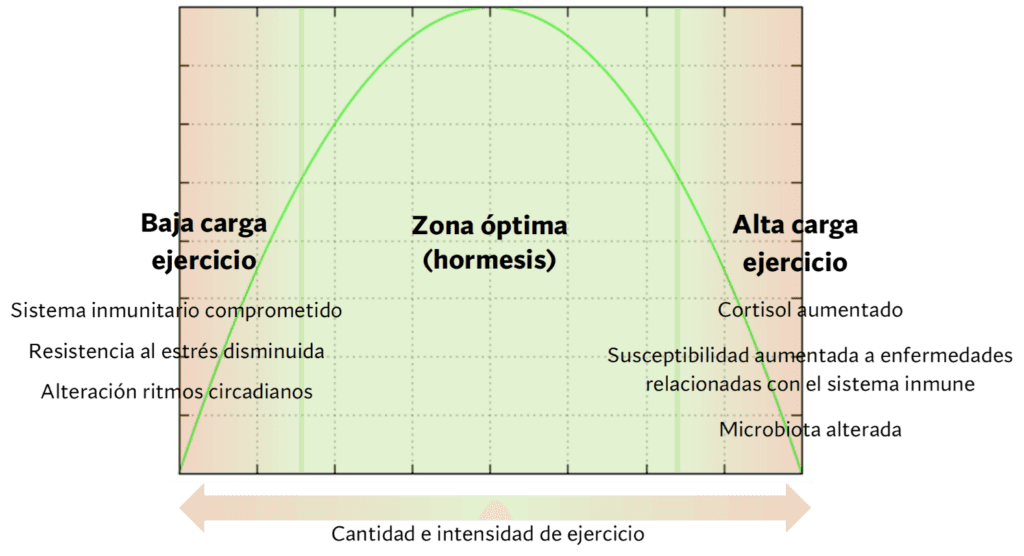 Zona hormética de salud