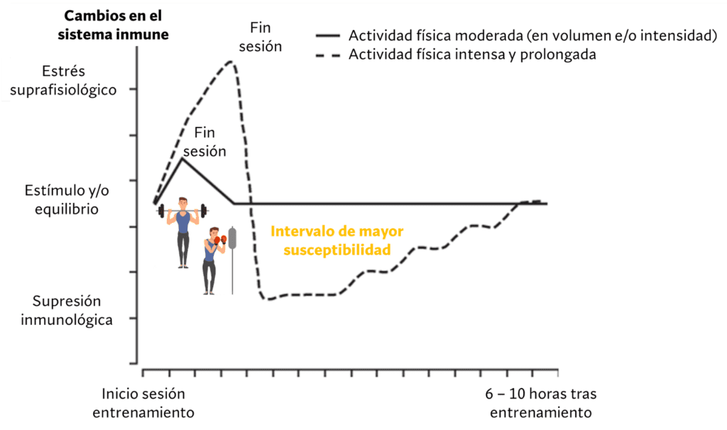 Cambios en el sistema inmune