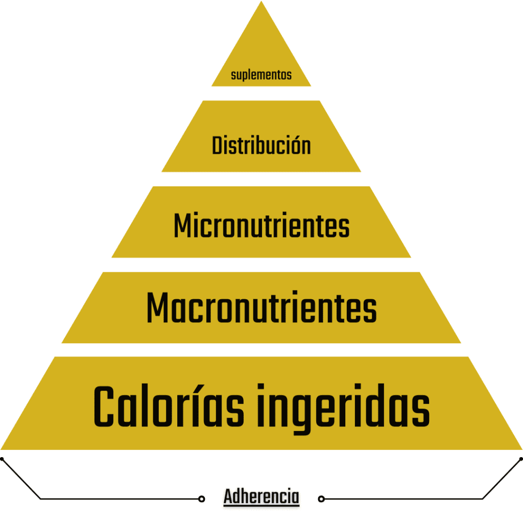 15 errores al ganar masa muscular 4 2 1 1