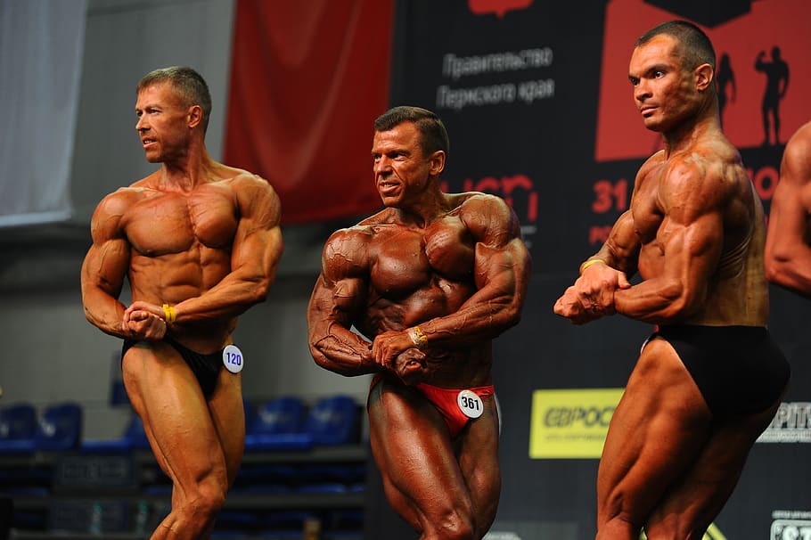 body building fitness sports athlete implementation person 1