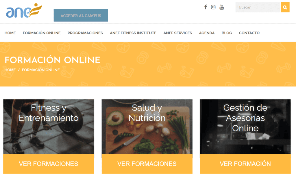 Web de ANEF