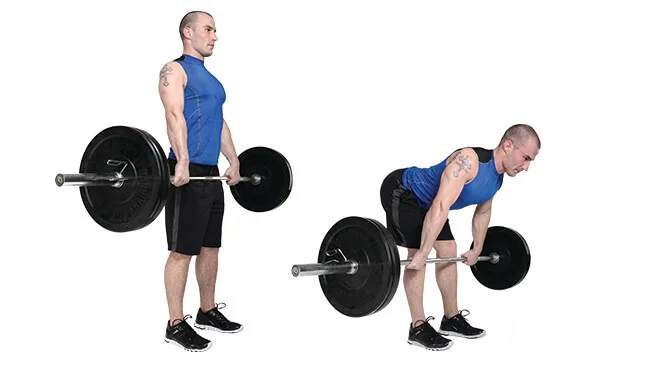 Curl femoral sentado vs tumbado vs de pie, diferencias y efectividad. 3 Hacer isquiosurales