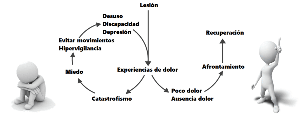 Ciclo de miedo y catastrofismo vs recuperación