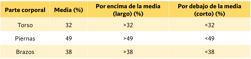 Segmentos proporción con estatura