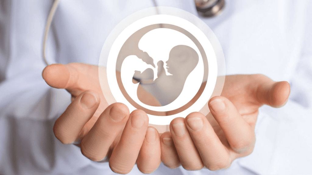¿Cuál es la relación entre el zinc y la testosterona? 9 Zinc y mejora de la fertilidad masculina