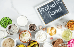 Alimentos que contienen probióticos