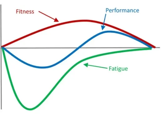 Entrenamiento de especialización para músculos atrasados, ¿cómo hacerlo? 3 tablaaa 3 jpg