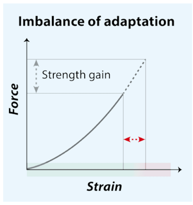 Adaptación no balanceada