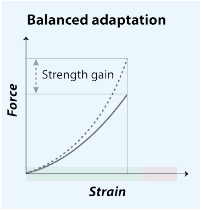 Adaptación balanceada