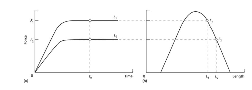 Curvas fuerza