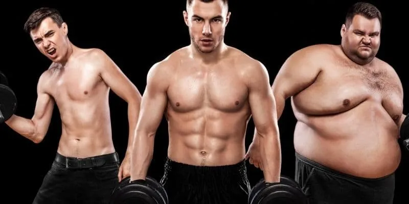 ¿Qué tipos de cuerpo existen? Explicación de los somatotipos. 1 endomorph vs mesomorph