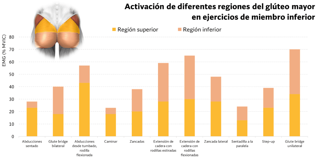 Ejercicios de glúteo