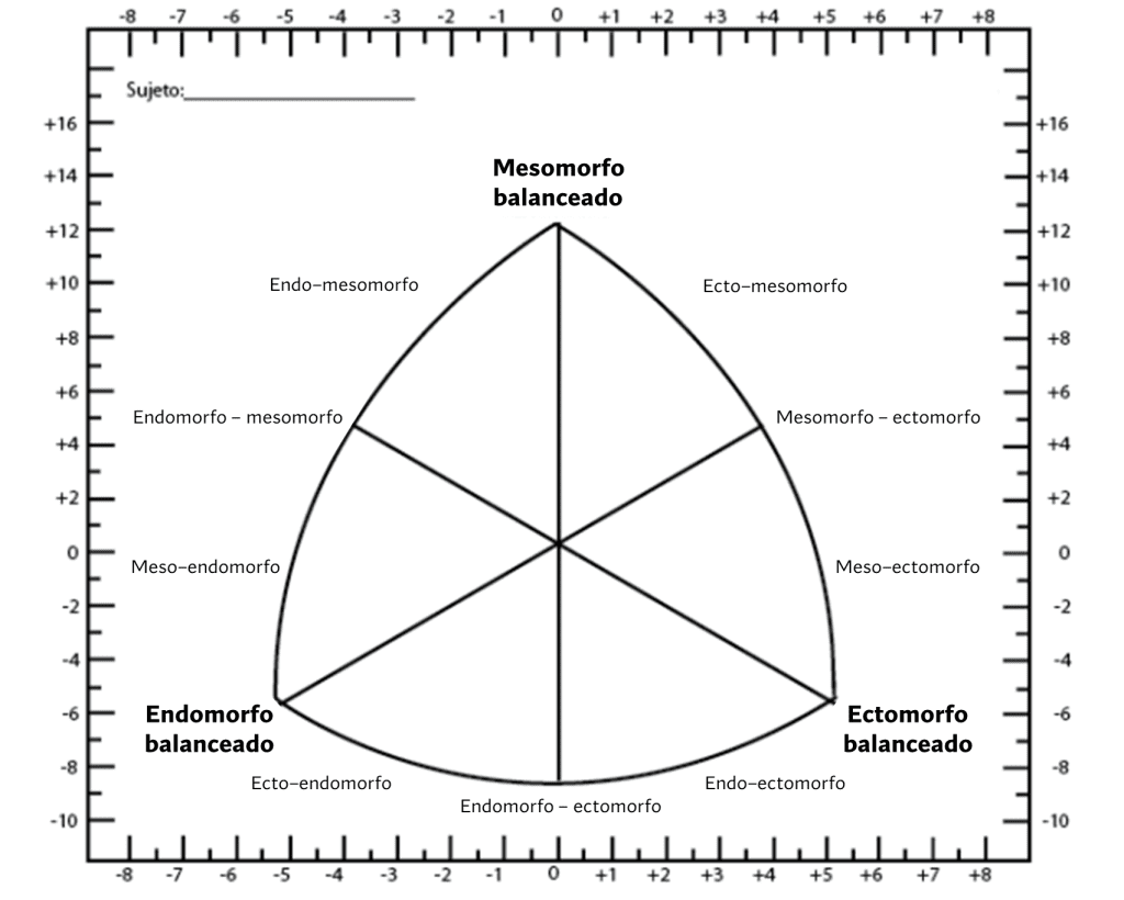 ¿Qué tipos de cuerpo existen? Explicación de los somatotipos. 13 Clasificación del somatotipo