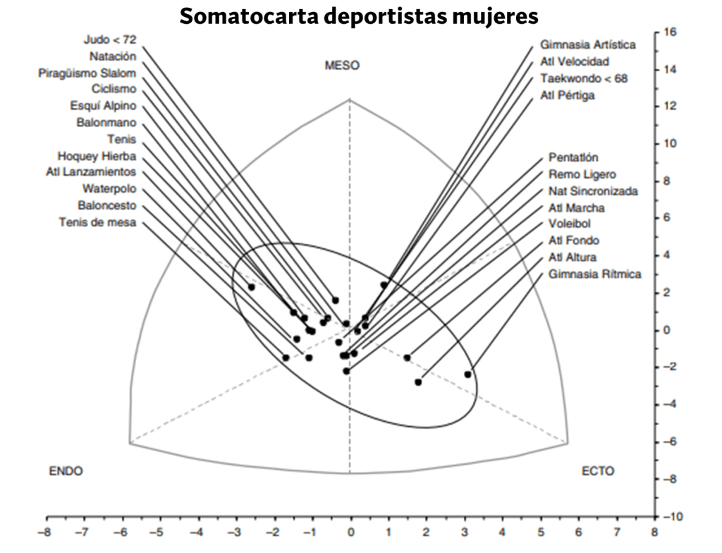 ¿Qué tipos de cuerpo existen? Explicación de los somatotipos. 19 Somatocarta de deportistas mujeres