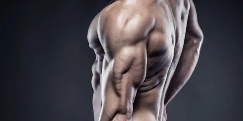 mejores consejos para aumentar triceps 2 800x400 1 jpg