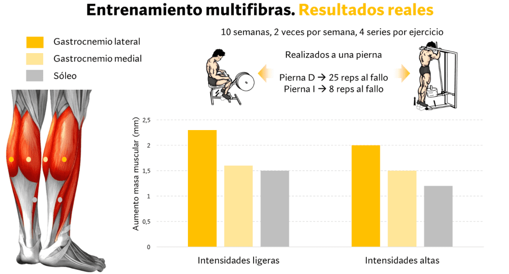 Entrenamiento de multifibras