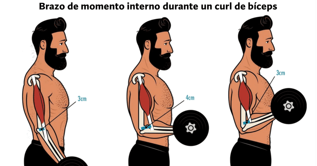 Brazo de momento interno