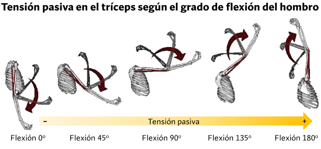 Tensión pasiva