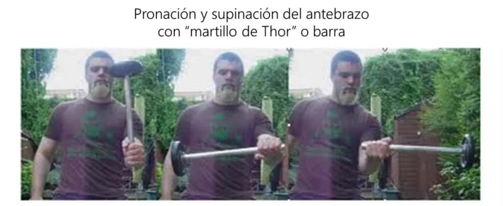 ¿Cómo mejorar la fuerza de agarre? 15 pronación y supinación del antebrazo